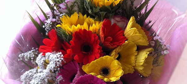 Gerberas