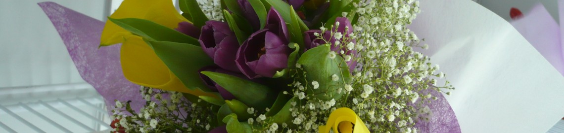 Tulip
