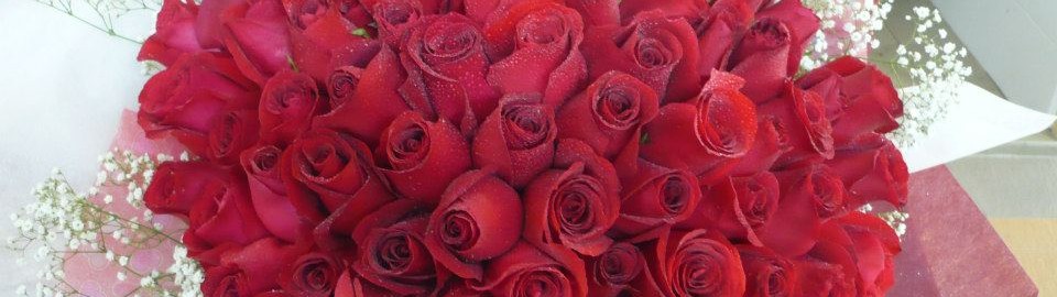 Roses