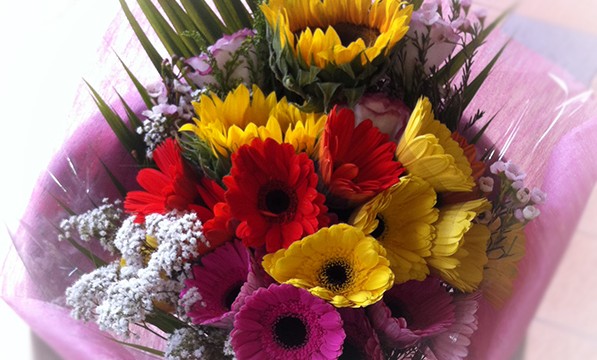 Gerberas